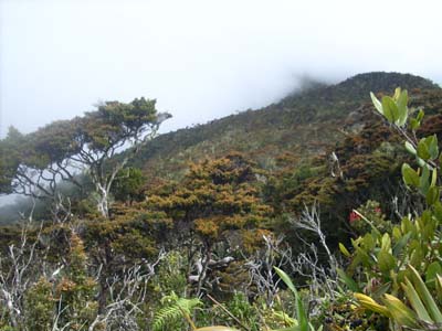 Trekking - LView to Mt. Kemiri